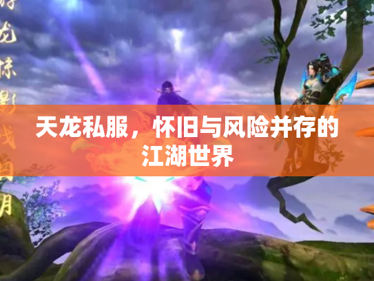天龙私服，怀旧与风险并存的江湖世界