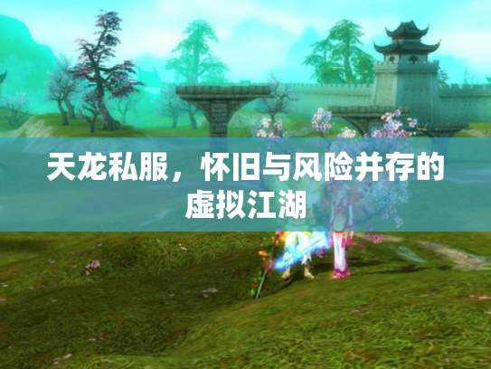 天龙私服，怀旧与风险并存的虚拟江湖