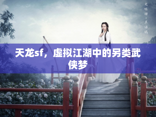 天龙sf，虚拟江湖中的另类武侠梦