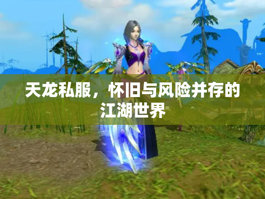 天龙私服，怀旧与风险并存的江湖世界