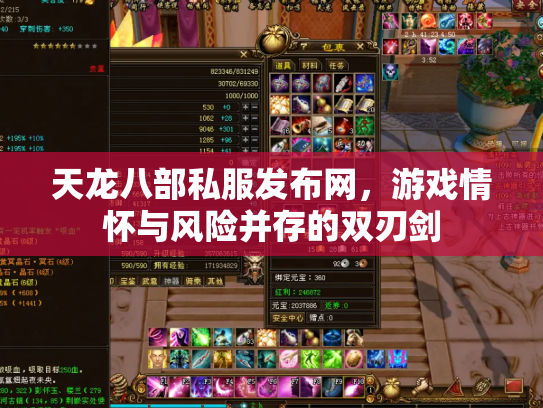 天龙八部私服发布网，游戏情怀与风险并存的双刃剑