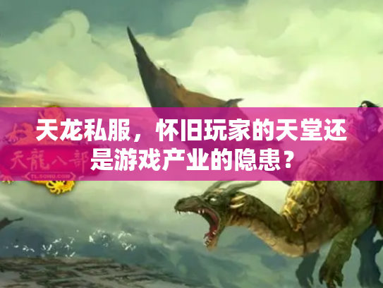 天龙私服，怀旧玩家的天堂还是游戏产业的隐患？