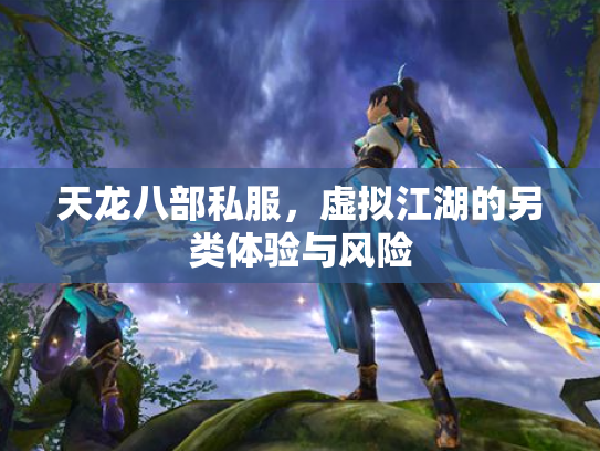 天龙八部私服，虚拟江湖的另类体验与风险