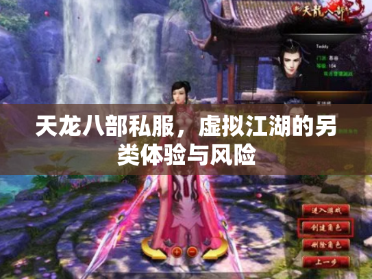 天龙八部私服，虚拟江湖的另类体验与风险