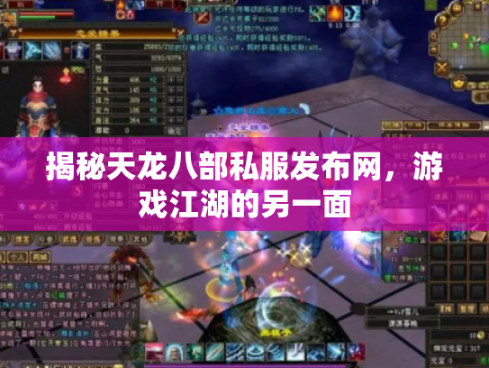 揭秘天龙八部私服发布网，游戏江湖的另一面