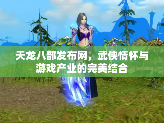 天龙八部发布网，武侠情怀与游戏产业的完美结合
