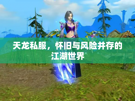 天龙私服，怀旧与风险并存的江湖世界