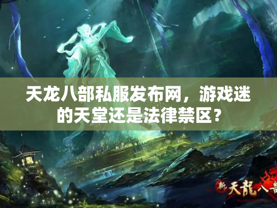 天龙八部私服发布网，游戏迷的天堂还是法律禁区？
