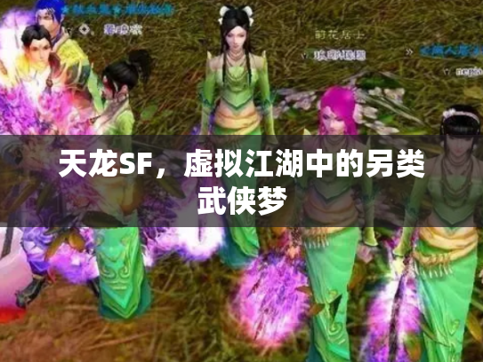 天龙SF，虚拟江湖中的另类武侠梦