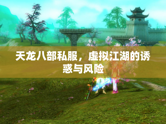 天龙八部私服，虚拟江湖的诱惑与风险