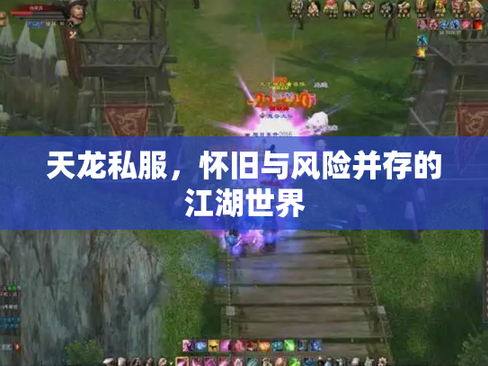 天龙私服，怀旧与风险并存的江湖世界