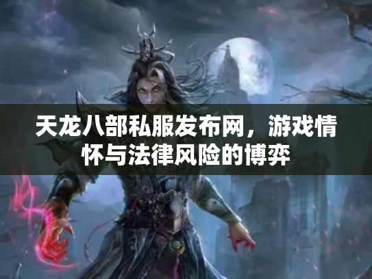 天龙八部私服发布网，游戏情怀与法律风险的博弈
