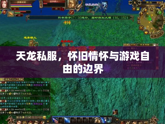 天龙私服，怀旧情怀与游戏自由的边界