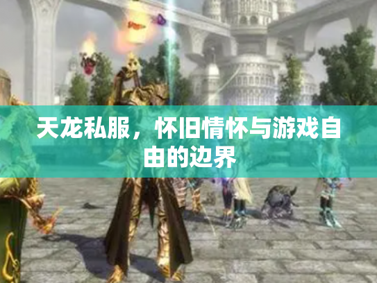 天龙私服，怀旧情怀与游戏自由的边界