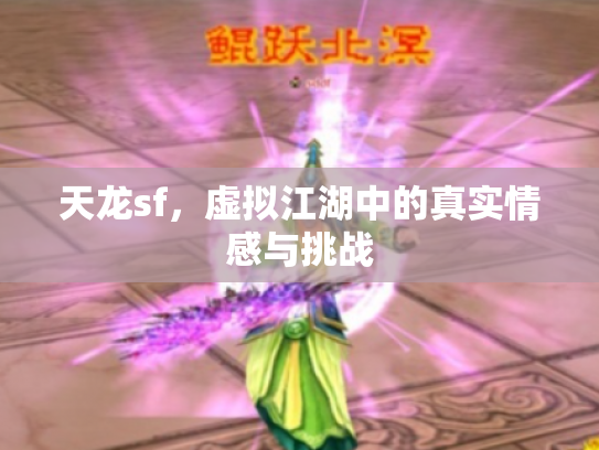 天龙sf，虚拟江湖中的真实情感与挑战
