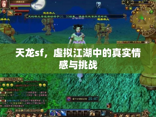 天龙sf，虚拟江湖中的真实情感与挑战