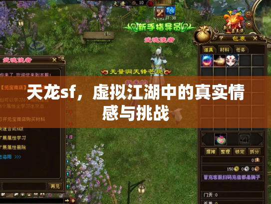 天龙sf，虚拟江湖中的真实情感与挑战