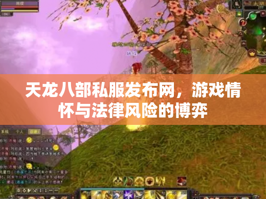 天龙八部私服发布网，游戏情怀与法律风险的博弈