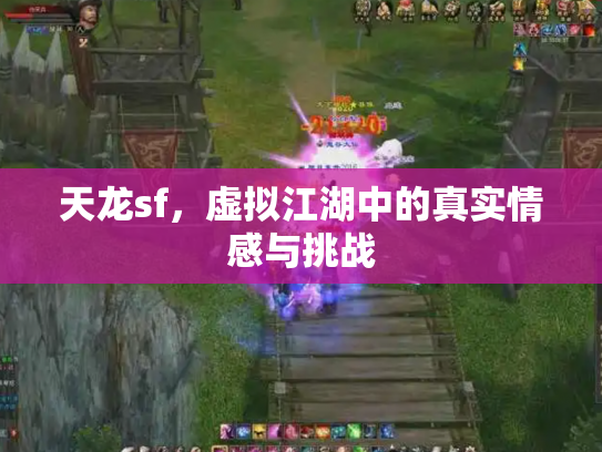 天龙sf，虚拟江湖中的真实情感与挑战