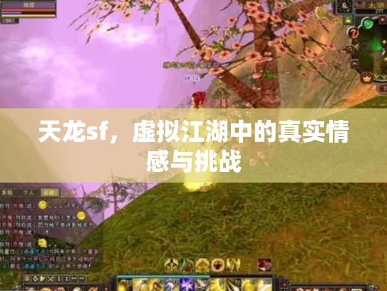天龙sf，虚拟江湖中的真实情感与挑战