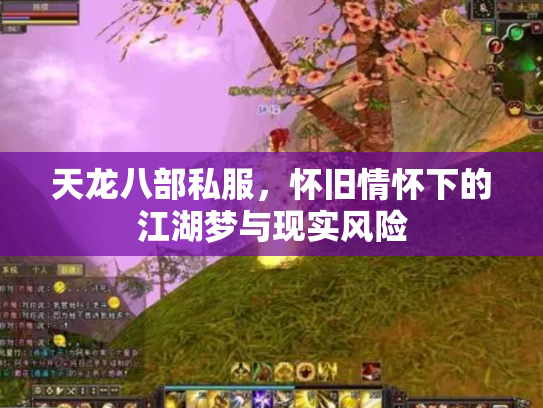 天龙八部私服，怀旧情怀下的江湖梦与现实风险