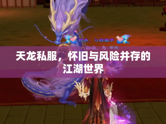 天龙私服，怀旧与风险并存的江湖世界
