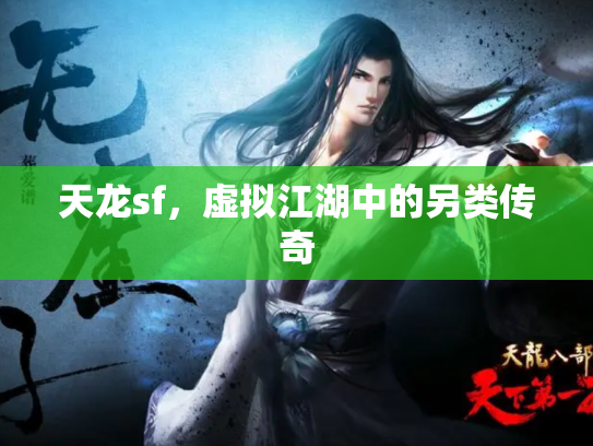天龙sf，虚拟江湖中的另类传奇