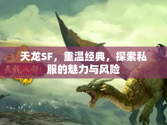 天龙SF，重温经典，探索私服的魅力与风险