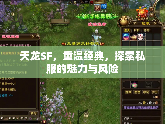 天龙SF，重温经典，探索私服的魅力与风险