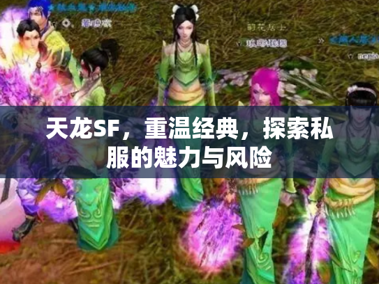 天龙SF，重温经典，探索私服的魅力与风险