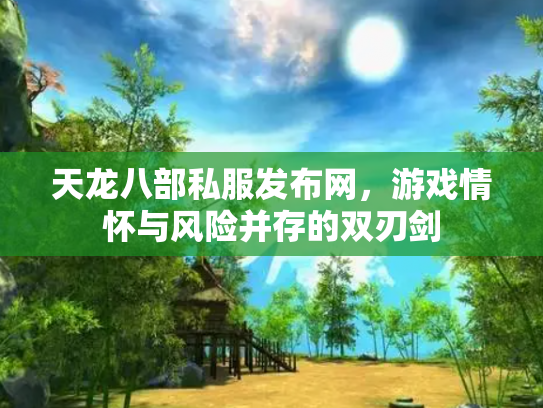 天龙八部私服发布网，游戏情怀与风险并存的双刃剑