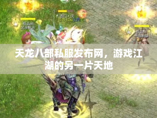 天龙八部私服发布网，游戏江湖的另一片天地