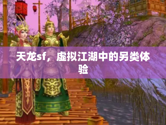 天龙sf，虚拟江湖中的另类体验