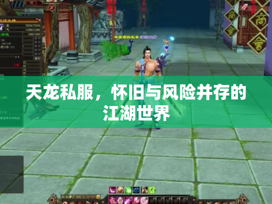天龙私服，怀旧与风险并存的江湖世界