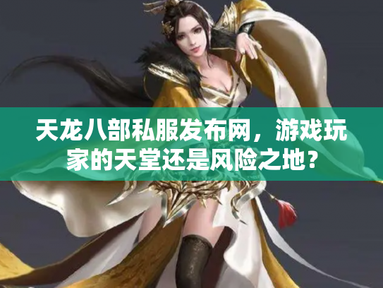 天龙八部私服发布网，游戏玩家的天堂还是风险之地？