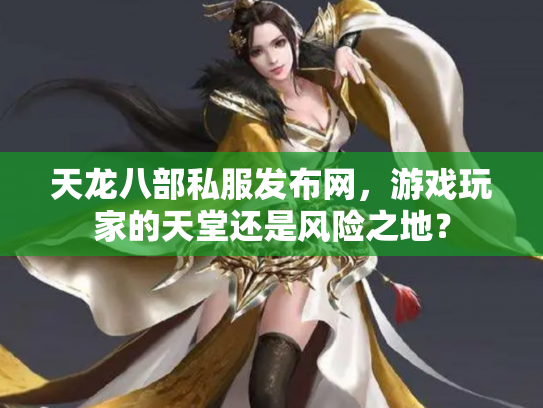 天龙八部私服发布网，游戏玩家的天堂还是风险之地？