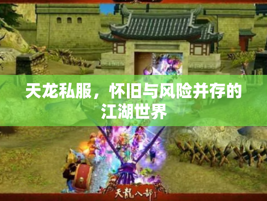 天龙私服，怀旧与风险并存的江湖世界