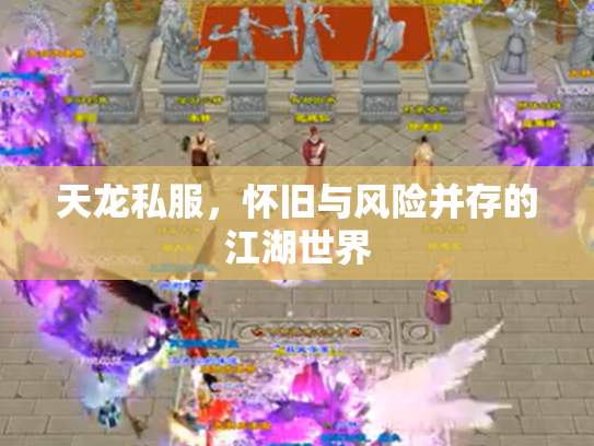 天龙私服，怀旧与风险并存的江湖世界