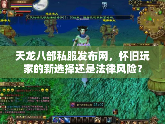 天龙八部私服发布网，怀旧玩家的新选择还是法律风险？