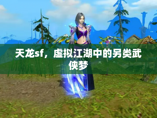 天龙sf，虚拟江湖中的另类武侠梦