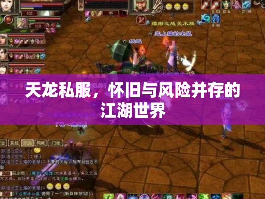 天龙私服，怀旧与风险并存的江湖世界