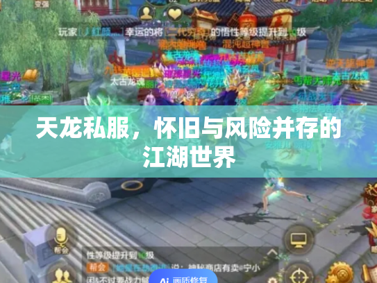 天龙私服，怀旧与风险并存的江湖世界