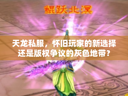 天龙私服，怀旧玩家的新选择还是版权争议的灰色地带？