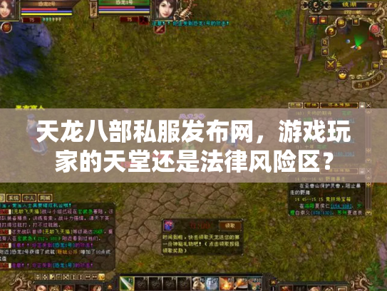 天龙八部私服发布网，游戏玩家的天堂还是法律风险区？