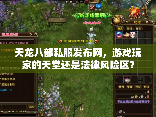 天龙八部私服发布网，游戏玩家的天堂还是法律风险区？