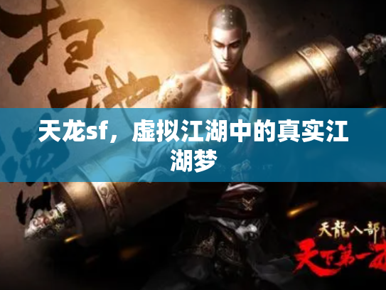 天龙sf，虚拟江湖中的真实江湖梦