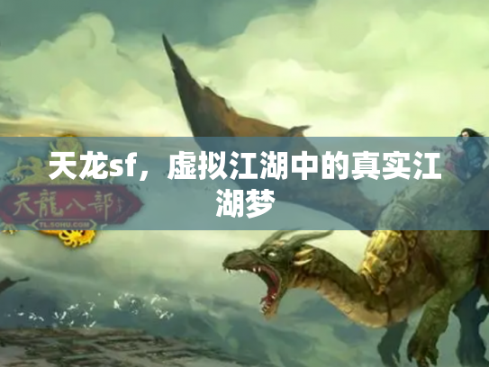 天龙sf，虚拟江湖中的真实江湖梦
