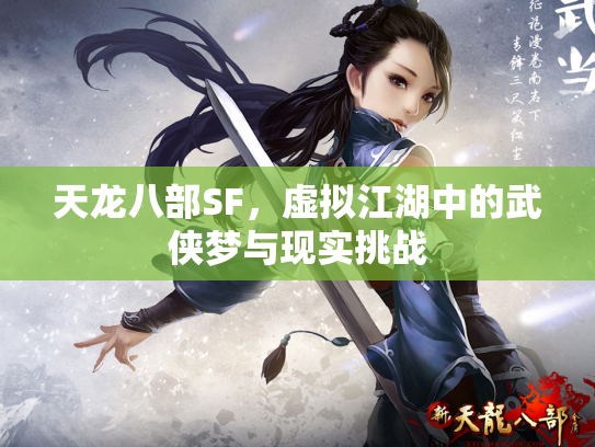 天龙八部SF，虚拟江湖中的武侠梦与现实挑战