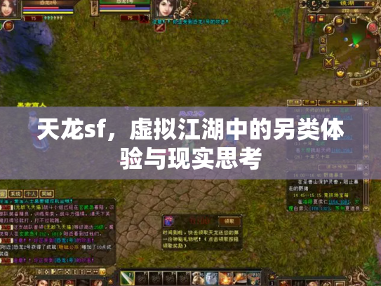 天龙sf，虚拟江湖中的另类体验与现实思考