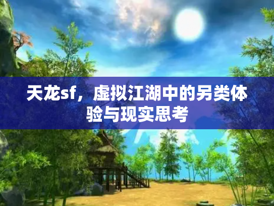 天龙sf，虚拟江湖中的另类体验与现实思考
